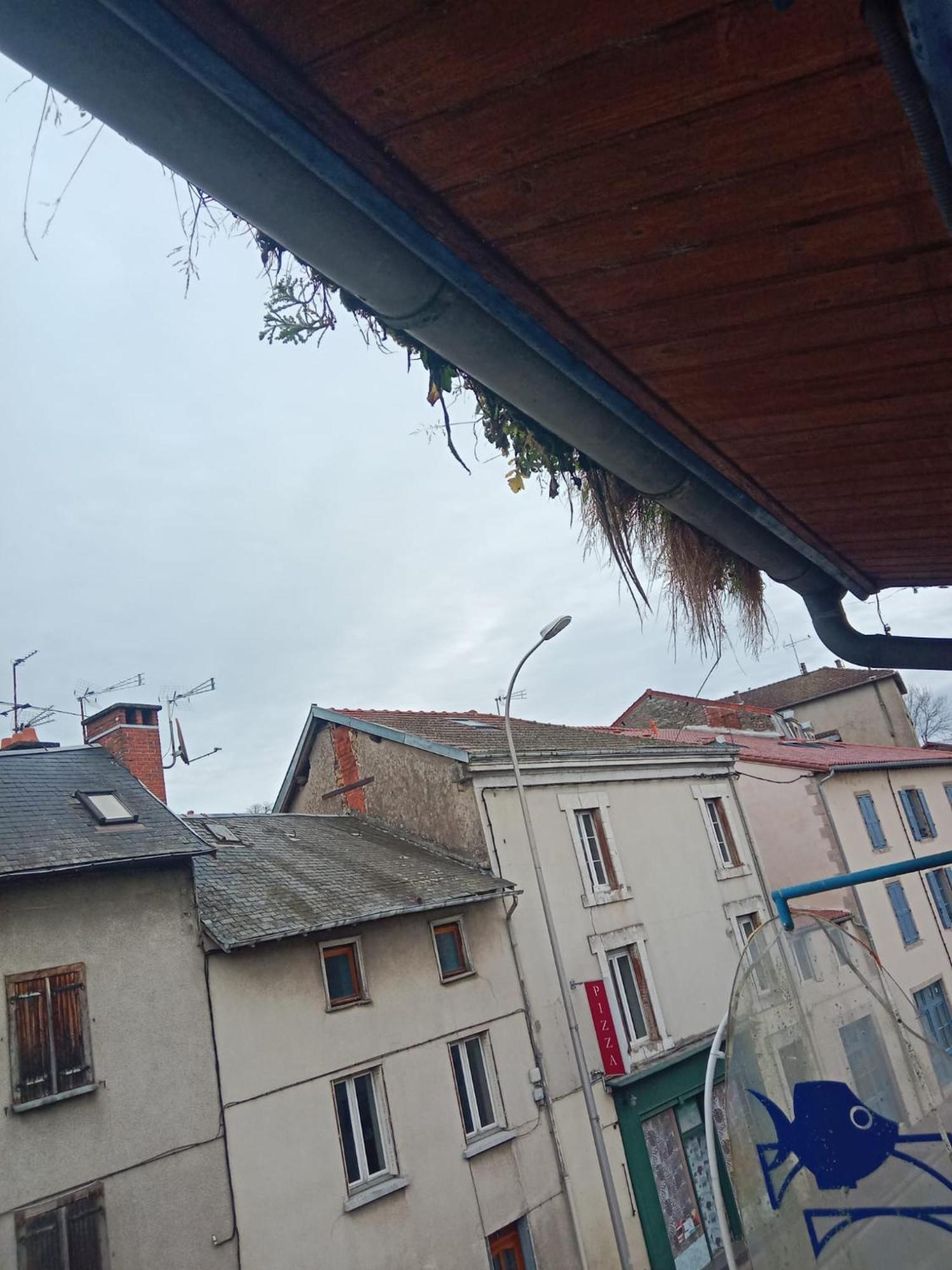 ホテル La Coquille D'Or Aixe-sur-Vienne エクステリア 写真